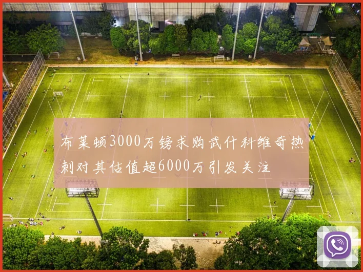 布莱顿3000万镑求购武什科维奇热刺对其估值超6000万引发关注