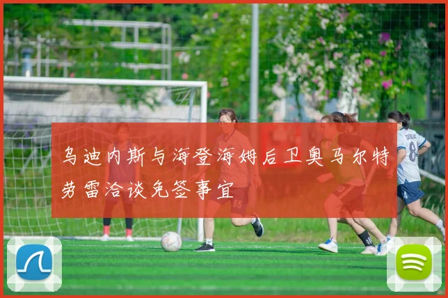 乌迪内斯与海登海姆后卫奥马尔特劳雷洽谈免签事宜