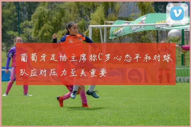葡萄牙足协主席称C罗心态平和对球队应对压力至关重要